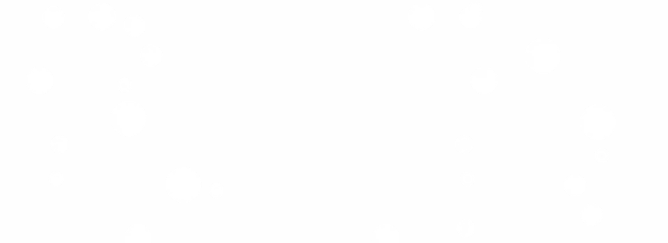 vip_Back_927065ae41
